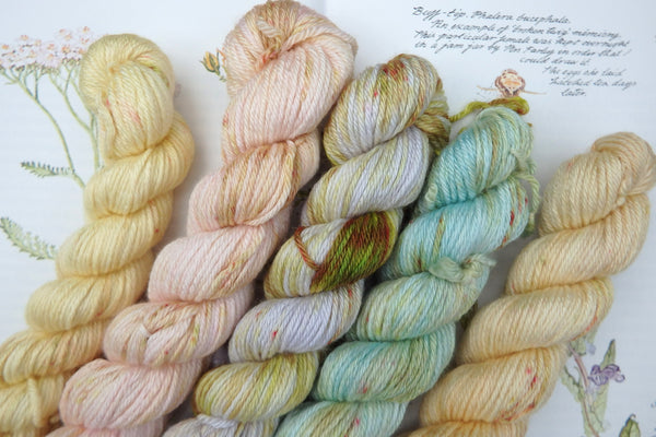 5 X 20g Mini Skein Set - Fairy Folk Set